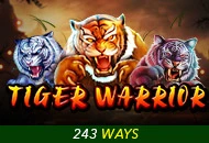 Tiger Warrior - HASEAGAMING